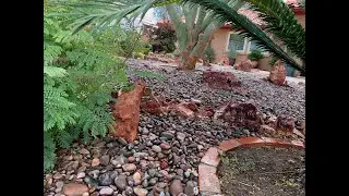 2020 May 20 21 blue palo verde landscape