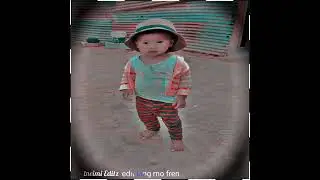 XML 
