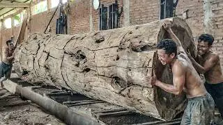 Unbelievable Beauty! Premium Log Processing at the Sawmill Shows Perfect Patterns