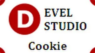 Develstudio - №3 Cookie или авто-заполнение полей!