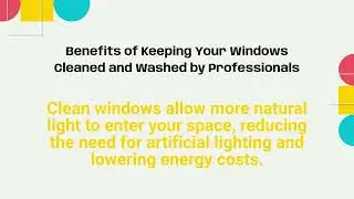 Professional Window Cleaning Services