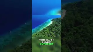 Discover Similan Islands: Thailand's Hidden Diving Paradise