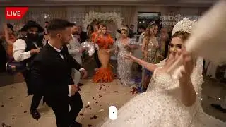 TOBELE ROMANIEI ❌ TOATE REGINELE ❌ Show Live 2024 ❌Fredy & Andreea