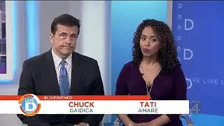 Live in the D: The Bee Psychologist