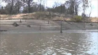 Salamonie Reservoir - Cove Directly Across From Lost Bridge East Ramp