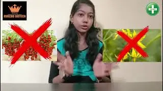 Tomato - All Pests - Similar Products.. - Full Control...