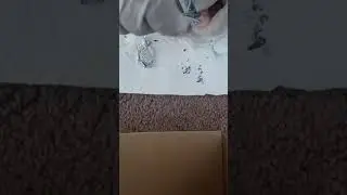 DIY SHELLAC 💅🏿 TOE NAILS
