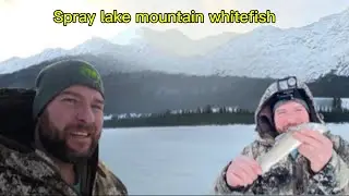 Spray lake Alberta ice 🧊 fishing 🎣 first mountain 🏔️ whitefish 😁
