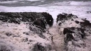 C&ocirc;te Sauvage