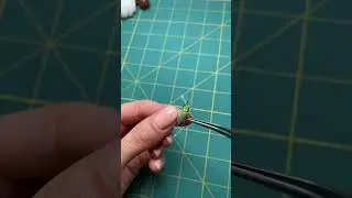 Weevil pinning method/gold dust weevil beetle #trending #insectdiversity #trendingshorts