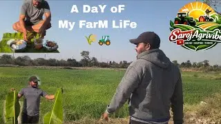 A Day Of My Farm Life🌾🚜🌴