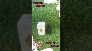 Becharm Beauty Sponge/Blender