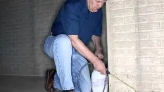 Bear Termite and Pest Control