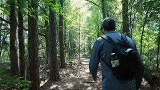 Hiking in North Florida