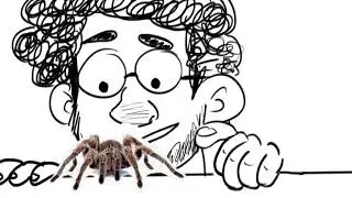 200,000 spiders [WTNV]
