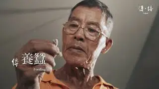 生態農法養蠶40年，手洗蠶絲千萬卷《傳·傳》Ep2.台灣最後一位養蠶人－苗栗獅潭涂泉明（海陸腔）| Legend: Hakka Master, Can-Min Tu | Natural Silk