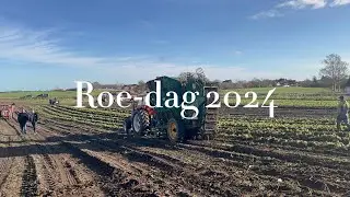 Roe-dag 2024 [Rebild VeteranTraktor]