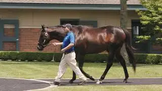 Street Sense at Darley