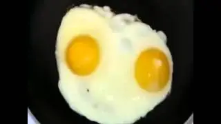 Rap God by Eggminem (clever vines)