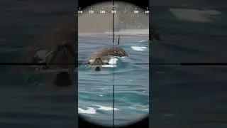 VERY Close Encounter With A RARE Mosasaurus!