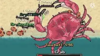 pocket ants crab beach  theme