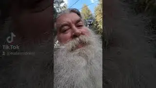 2022-11-02 #Duff #Cleanup #ForestLife with all the noises! #YourEveryDaySanta #Eudaemonius #Redwood