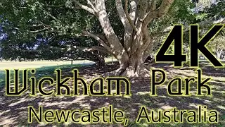 Wickham Park, Newcastle, Australia - 4K