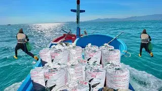 Tranh Thủ Nhảy Lặn Bắt Hải Sản Đầy Ghe, Bữa Trưa Nồi Sò Điệp Chất Lượng… | Cảnh 86