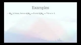 TRHW02 | Dr. Thomas Blom | On the chain rule in Goodwillie calculus