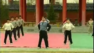 wushu Taolu Fudaolianxi 1 part 2