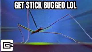get stickbugged lol but it's a remix