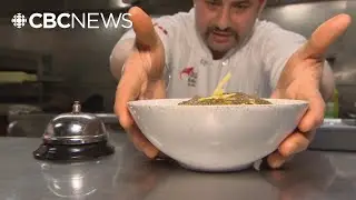This Sask. restaurant could close its doors due to immigration cuts, lack of trained chefs