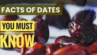 Facts About Dates Fruit, You Must Know for Healthy Living