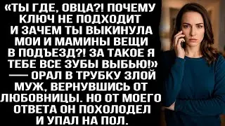 «Ты где, овца?! Почему ключ не подходит и зачем выкинула мои вещи в подъезд?!» — кричал в трубку муж