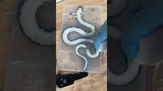 💙🐍 #poxy_princess #epoxy #resin #resinart #resinartist #epoxylife #epoxyresin #resincrafts #snake