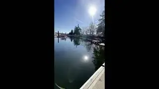 How to Launch a Boat at Swantown Marina (Olympia, WA) &ndash; Step‑by‑Step Guide