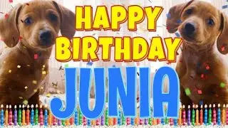 Happy Birthday Junia! ( Funny Talking Dogs ) What Is Free On My Birthday