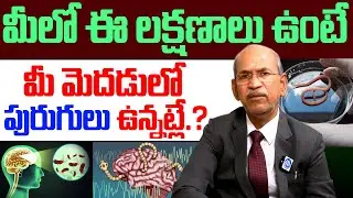 ఈ లక్షణాలు ఉంటే మీ మెదడులో బద్దె పురుగులు ఉన్నట్లే.! | Tapeworm Symptoms in Brain | iDream Prime