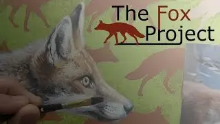 The Fox Project