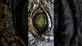 The Rarest Crocodile on Earth: The Gharial&rsquo;s Fight for Survival