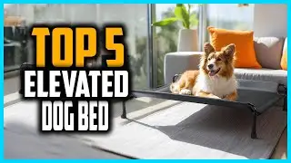 ✅Top 5 Best Elevated Dog Bed of 2025