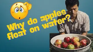 Why Do Apples Float  🍎