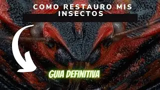 Como restauro insectos antiguos para fotografia de macro extremo / Guia definitiva