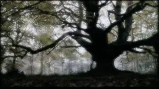 Faith and The Muse - The Unquiet Grave