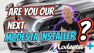Modesta Benelux is looking for you!