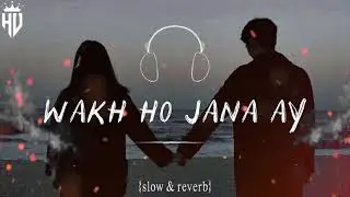 Wakh ho jana Ay slowedxreverb 