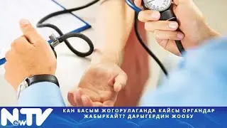 Кан басым жогорулаганда кайсы органдар жабыркайт? Дарыгердин жообу