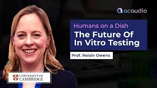 Humans On A Dish - How Prof Roisin Owens and her group are revolutionising in-vitro testing