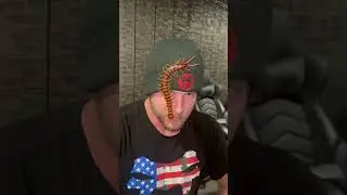 Centipede bite on face? #shorts #reels