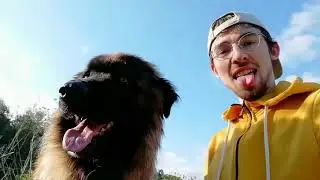 Volunteer life at ARA - Animal Rescue Algarve, Portugal